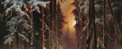Зимний лес