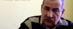 Выбираем породу дерева