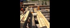 Срубы из сухостойной карельской сосны. ч4